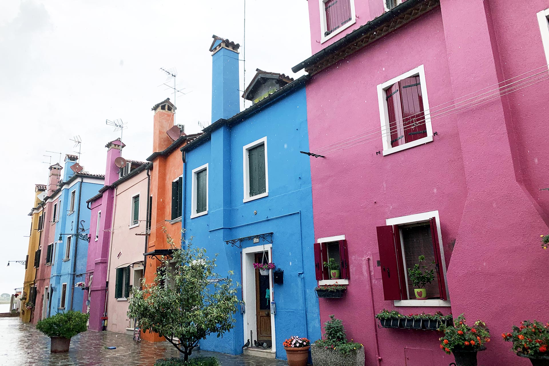 Silvia Allegri libri