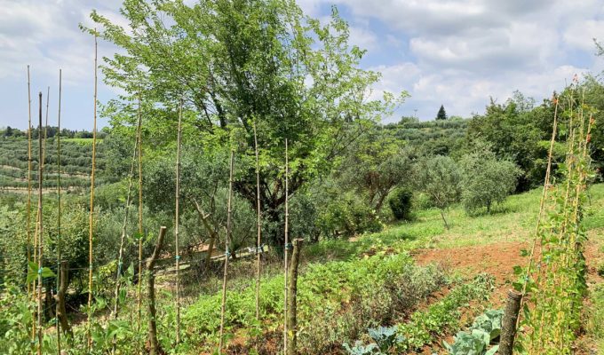 Silvia Allegri sezione orto